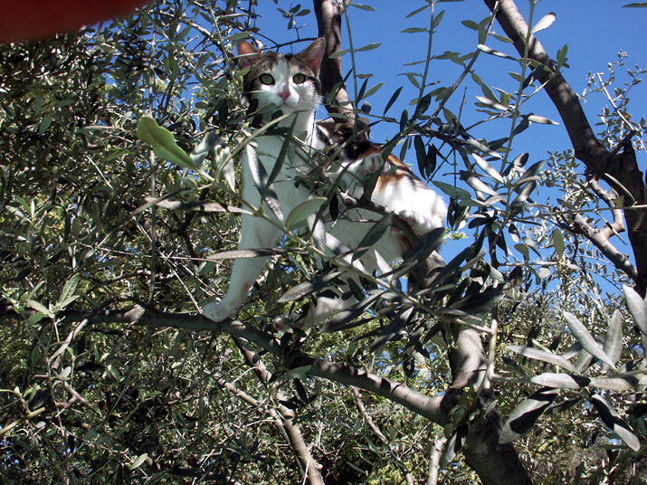 2005-05 003.JPG - DCF 1.0